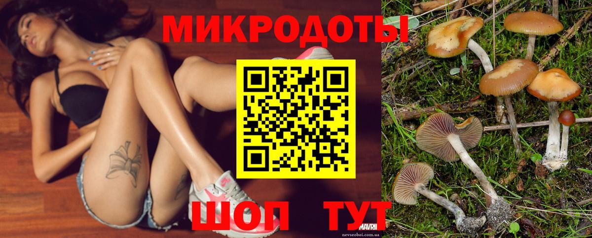 Киселёвск  Галлюциногенные грибы MAGIC MUSHROOMS  Вход с VPN 